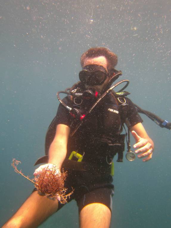 A mais estranha estrela-do-mar que eu já tinha visto, durante mergulho em Soufriere, sul de Santa Lúcia, no Caribe